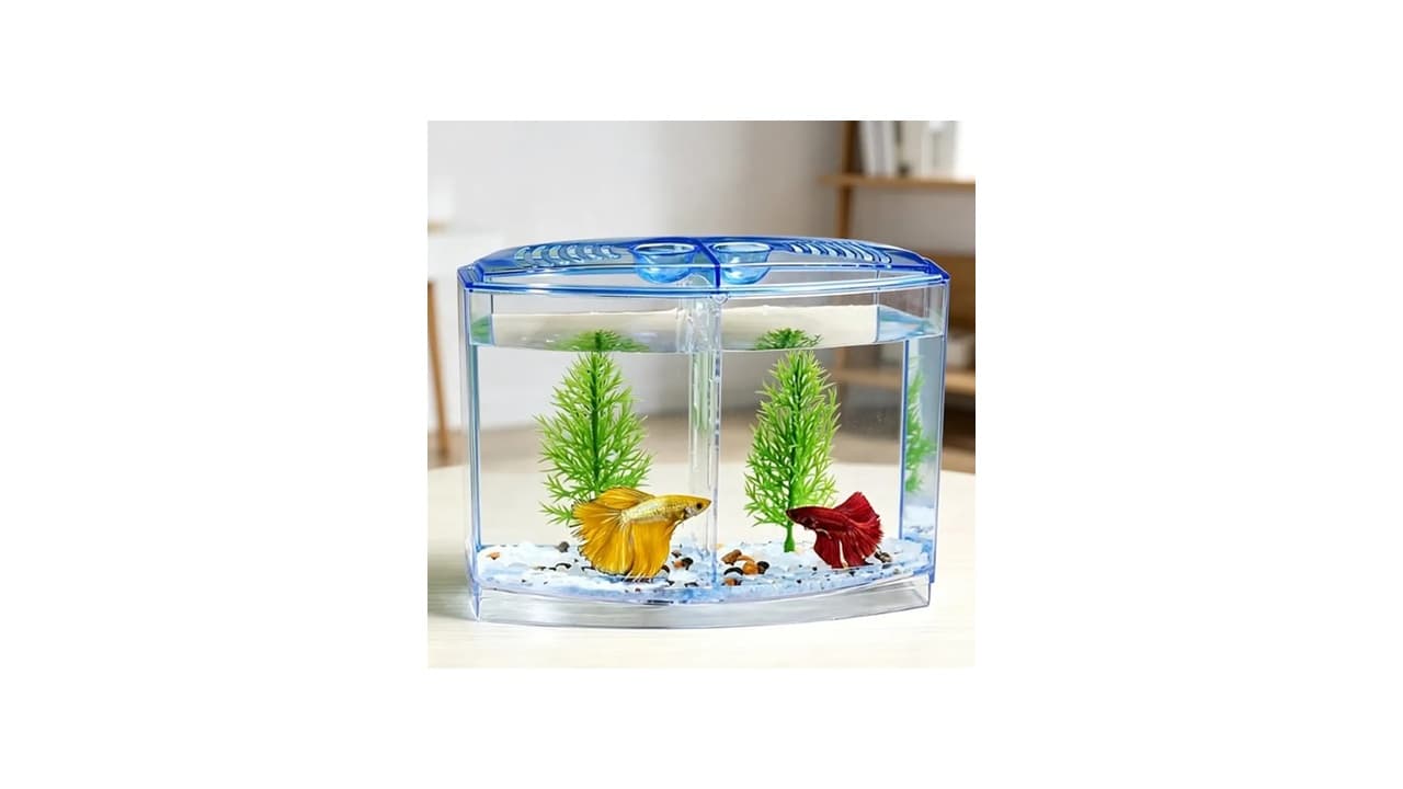Melhor Aquário para Peixe Betta: Tamanho Ideal e Recursos Essenciais