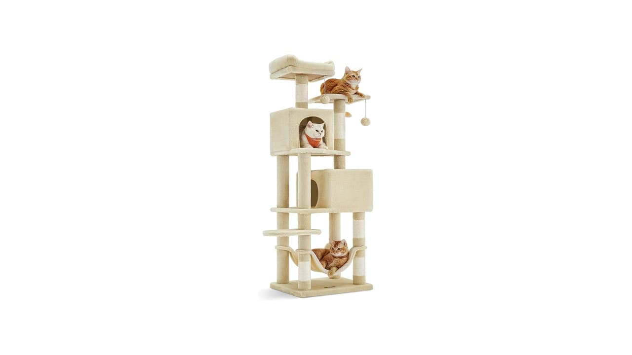 Melhor Arranhador Torre para Gatos: Guia Completo