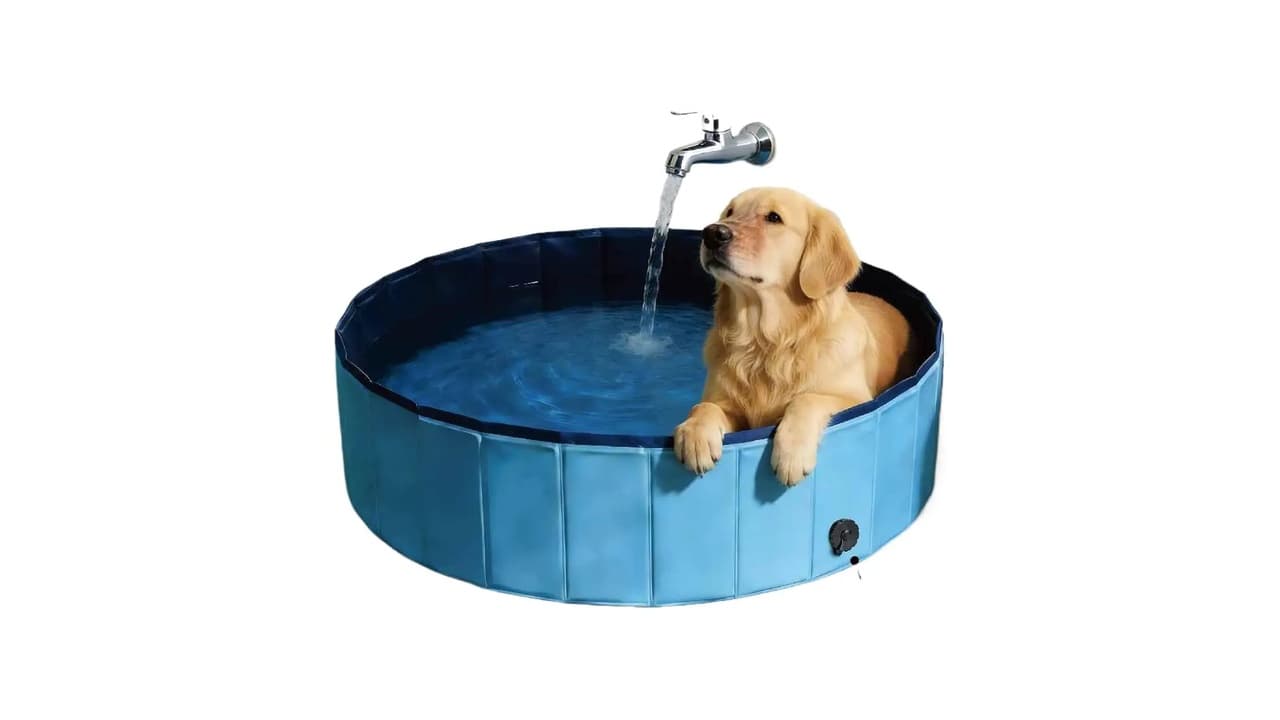 Melhor Banheiro para Cachorro: 10 Opções para Banho Perfeito