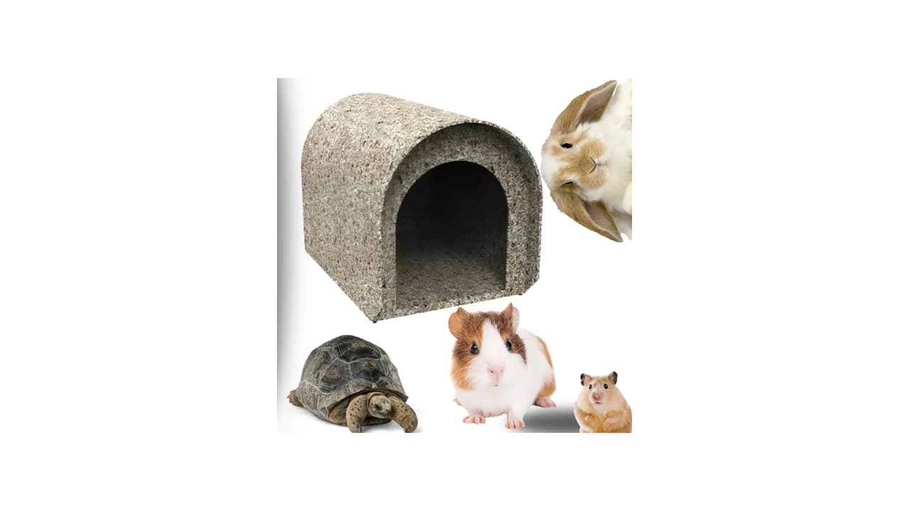 Melhor Casinha para Coelho: Guia Completo