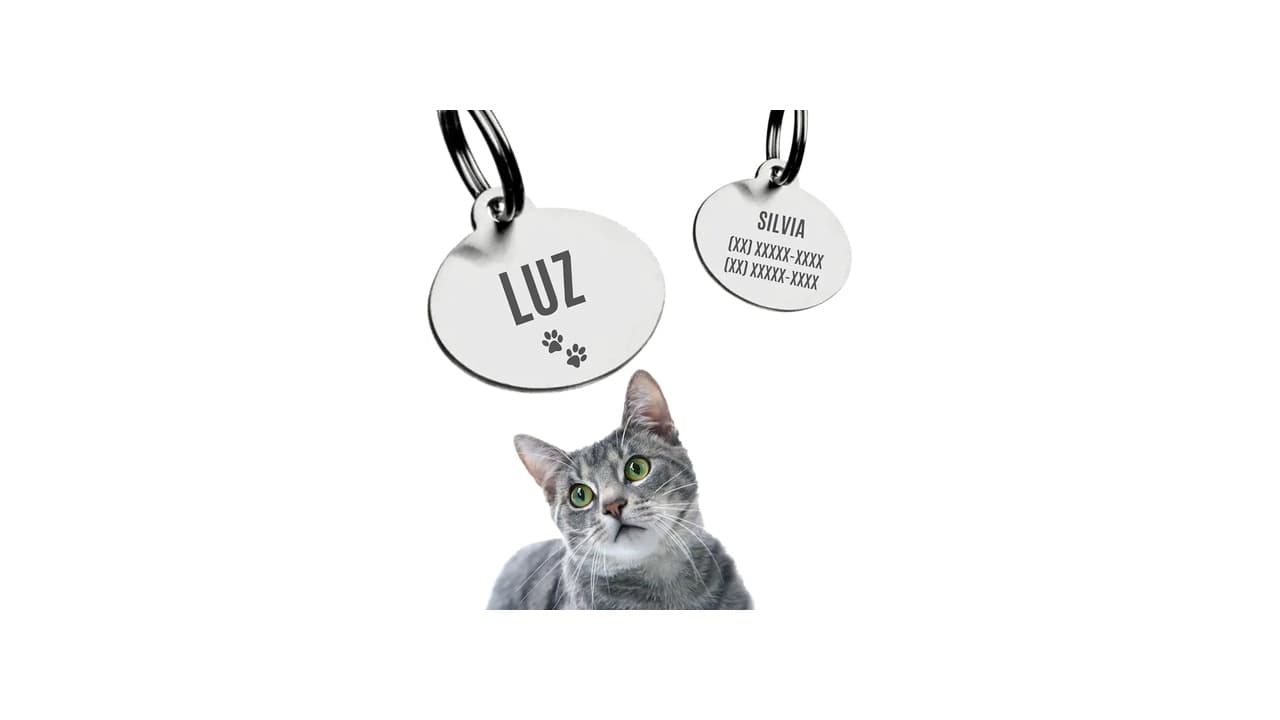 Melhor Coleira com Plaquinha de Identificação Personalizada: Guia Definitivo para Escolher a Ideal