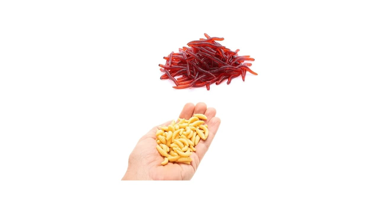 Qual a Melhor Isca para Tilápia? Guia Definitivo para Pescaria Eficaz