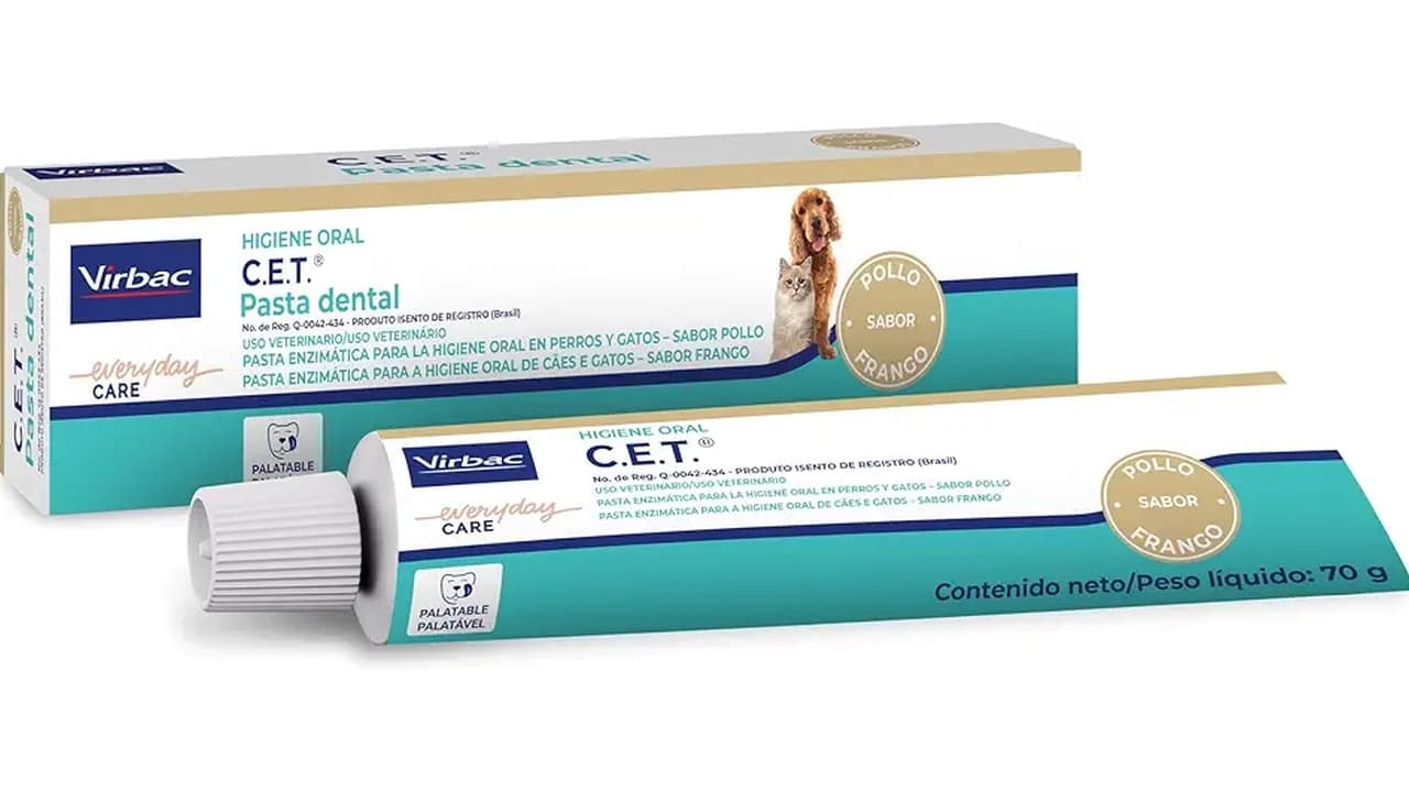 Melhor Pasta de Dente para Cachorro: 10 Opções Testadas e Aprovadas