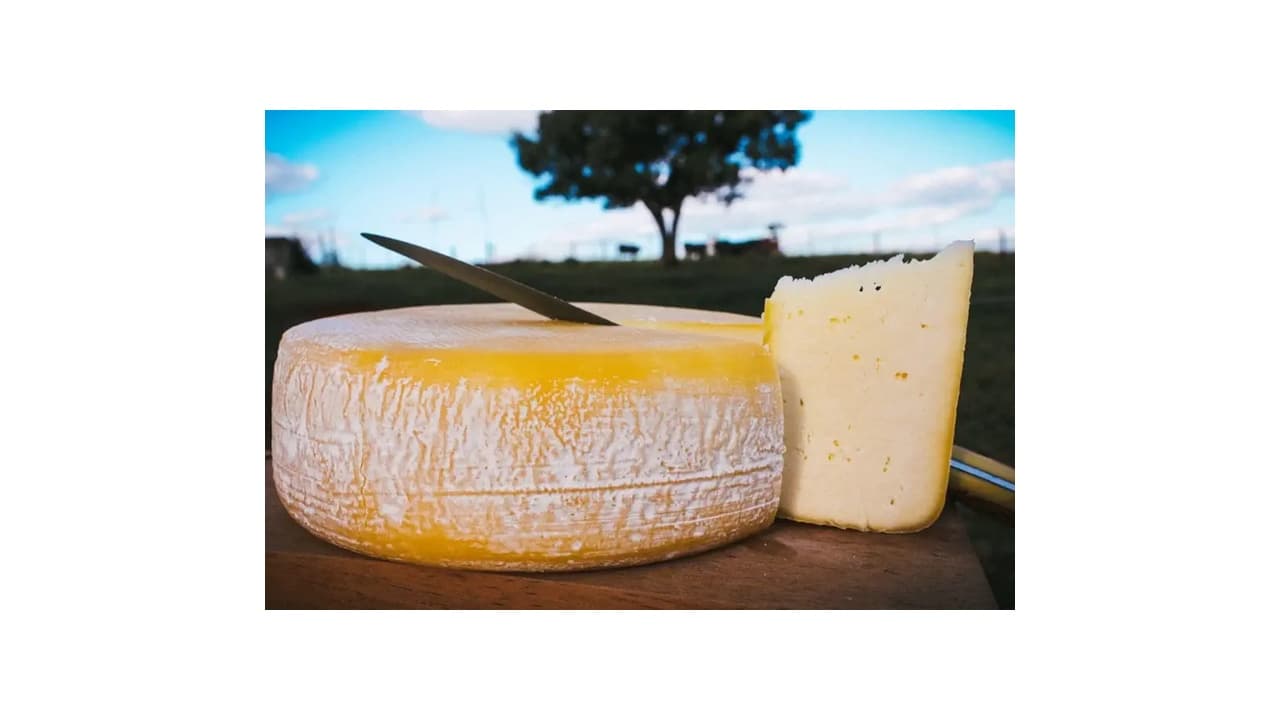 Melhor Queijo Canastra de Minas: Top 7 para Saborear a Tradição