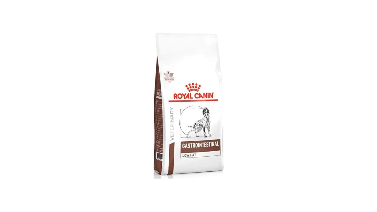 Melhor Ração para Cachorro Pancreatite: 5 Opções Low Fat Recomendadas