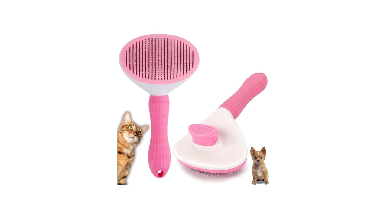 Melhor Rasqueadeira para Gatos: 6 Modelos que Eliminam Pelos sem Estresse