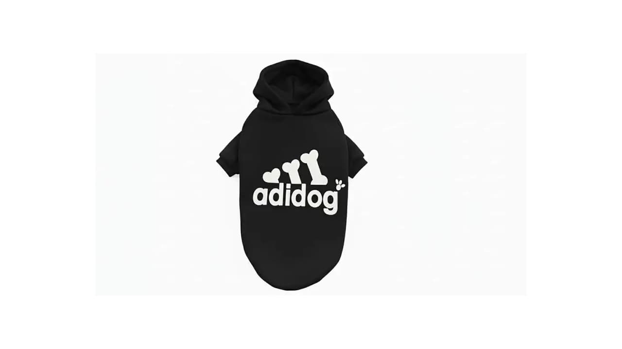 Melhor Roupa de Moletom para Cachorro: 8 Modelos Super Confortáveis
