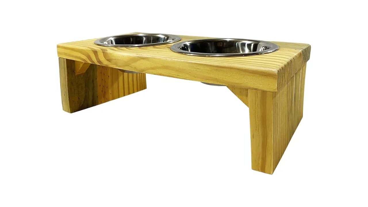 Melhor Vasilha para Cães e Gatos: Guia Completo para Escolha