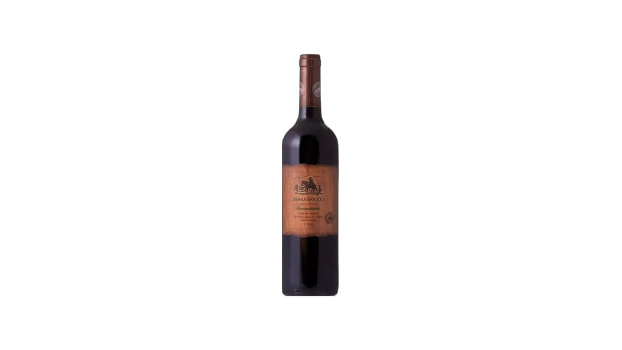 Melhor Vinho Chileno Carménère: Top 10 Escolhas para 2026