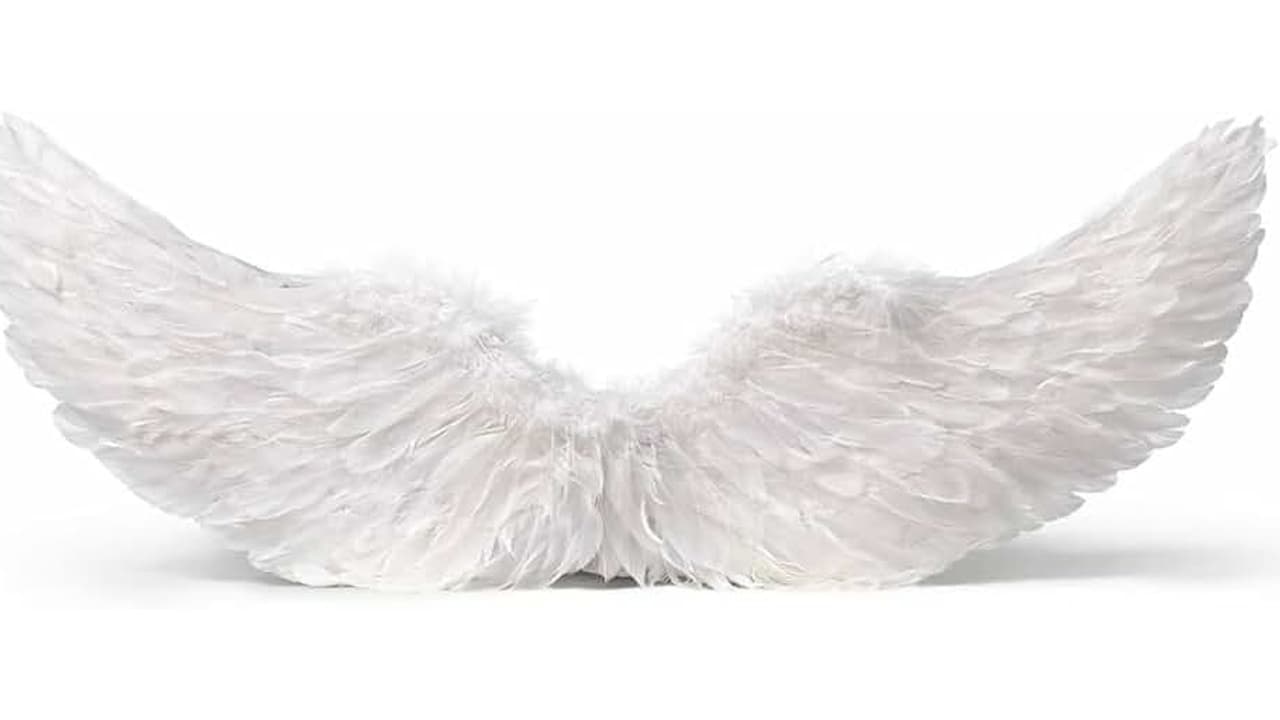 Melhor Asa de Anjo de Penas: Guia Completo para Festas e Cosplay