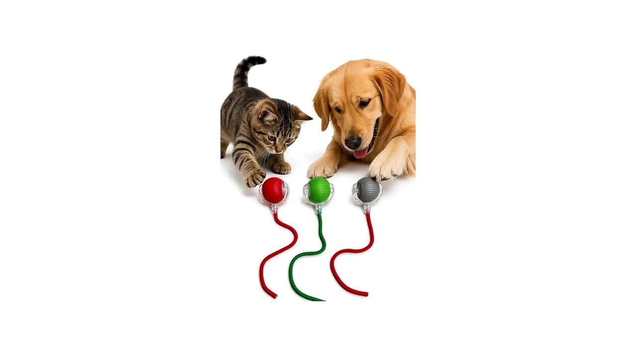 Melhor Brinquedo para Cachorro Sozinho? 5 Opções Inteligentes para Evitar Tédio e Ansiedade