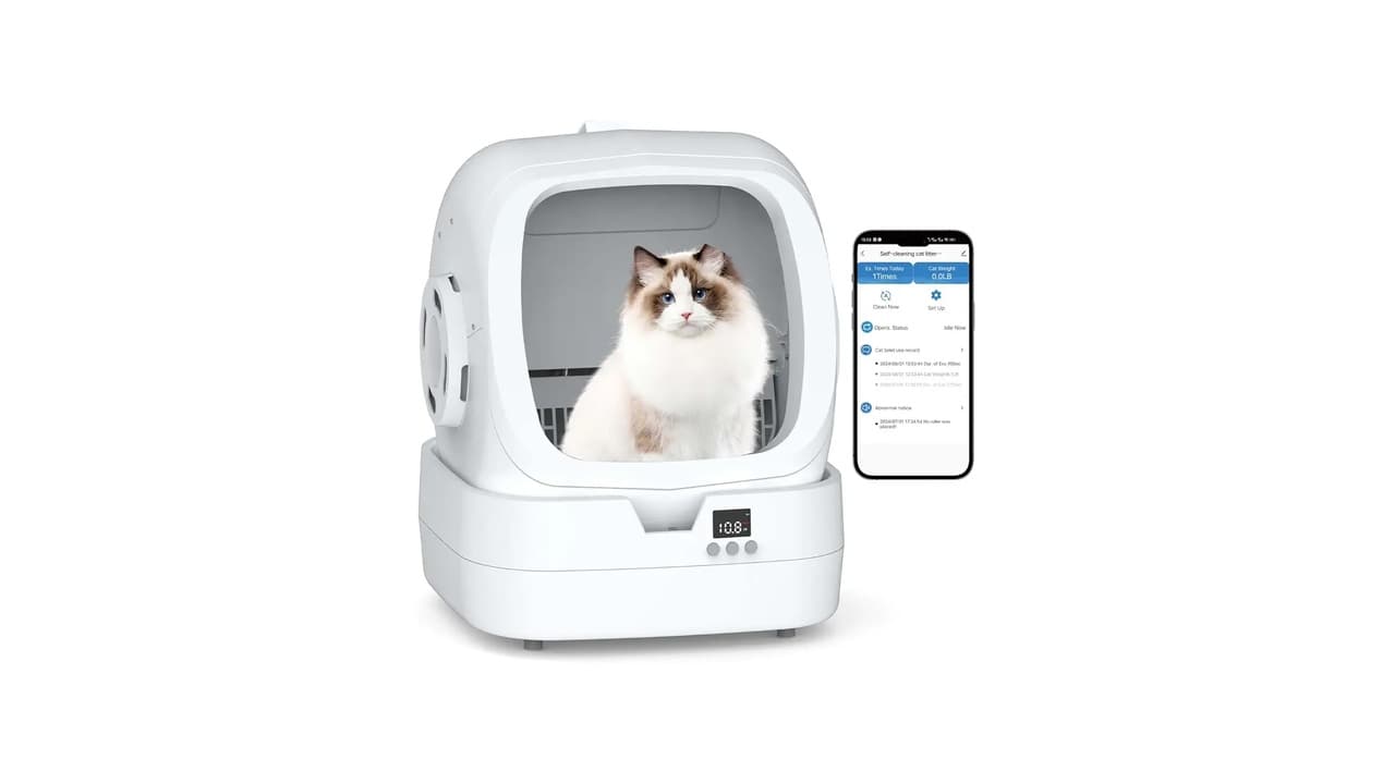 Melhor Caixa de Areia Automática para Gato: Guia Completo