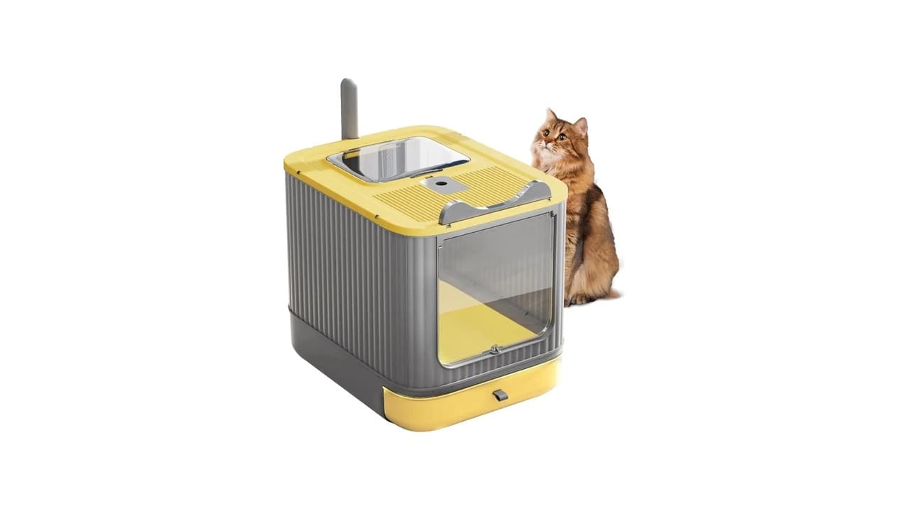 Melhor Caixa de Areia Fechada para Gatos: Guia Completo