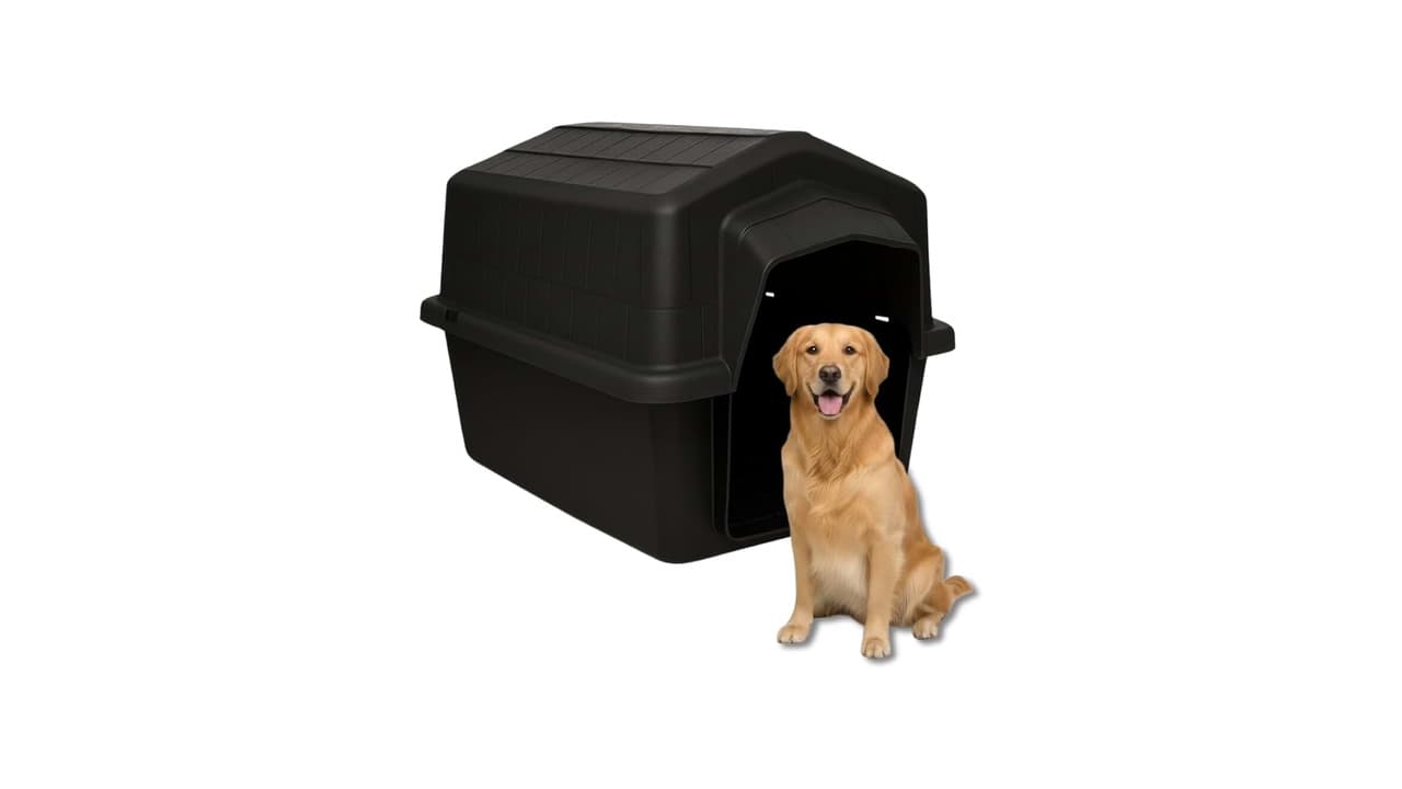Melhor Casinha para Cachorro Grande: Guia Completo para Escolha