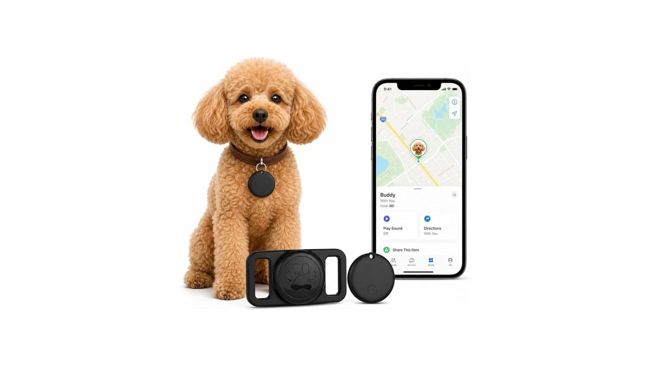 Melhor Coleira com GPS para Cachorro e Gato: 7 Opções sem Mensalidade