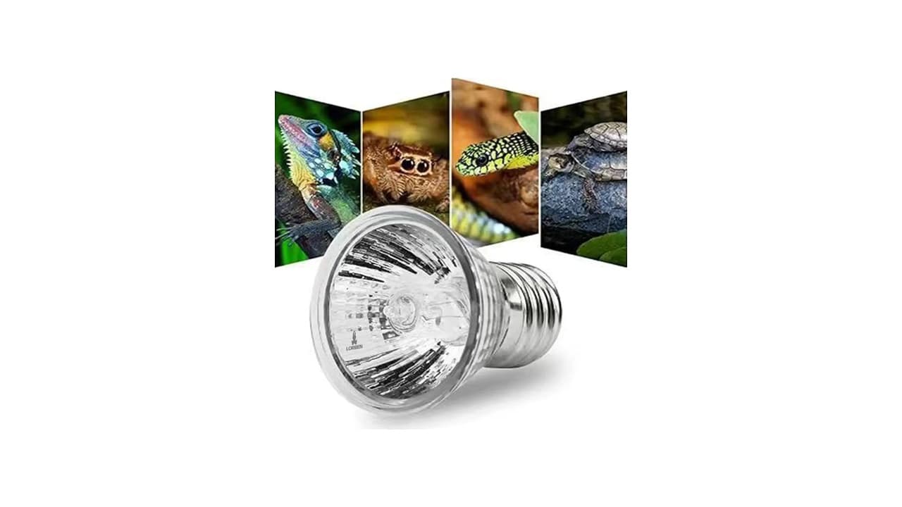 Melhor Lâmpada UV para Répteis: 6 Opções para Saúde do Seu Animal
