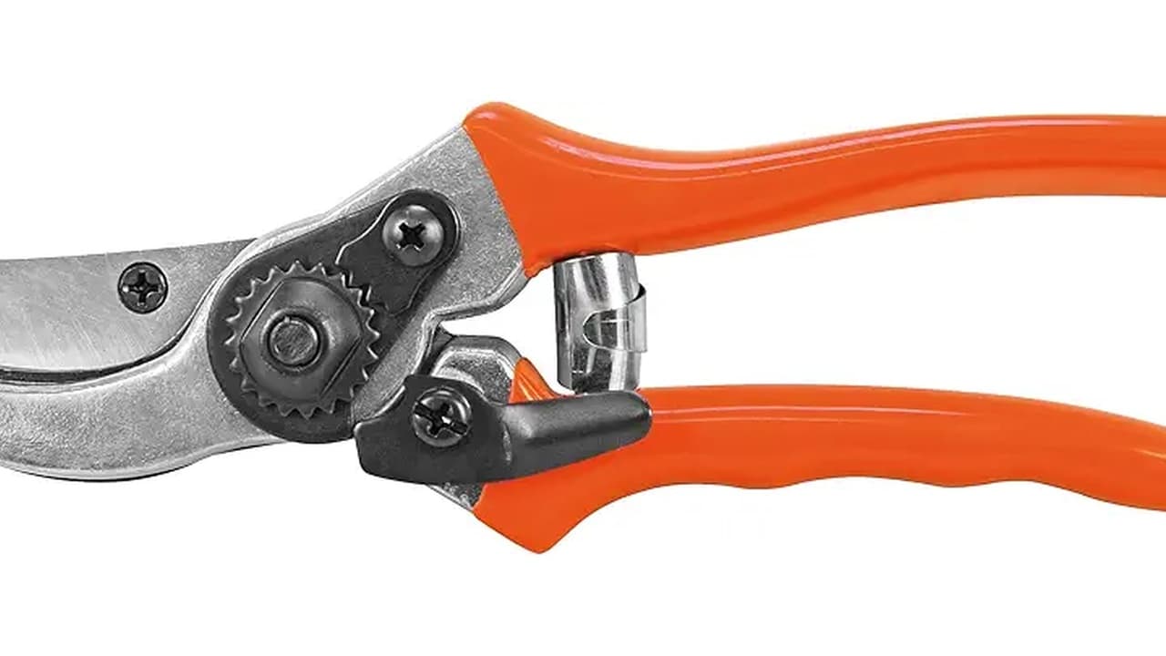 Melhor Marca de Tesoura de Poda: Guia Completo para Horticultores