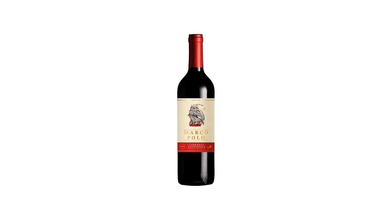 Melhor Marca de Vinho Chileno: Guia Completo para Escolha