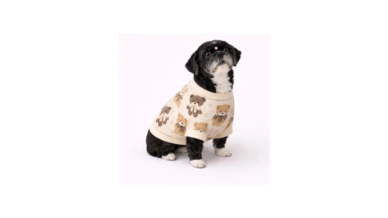 Melhor Roupa de Soft para Cachorro: 12 Modelos Quentes e Confortáveis