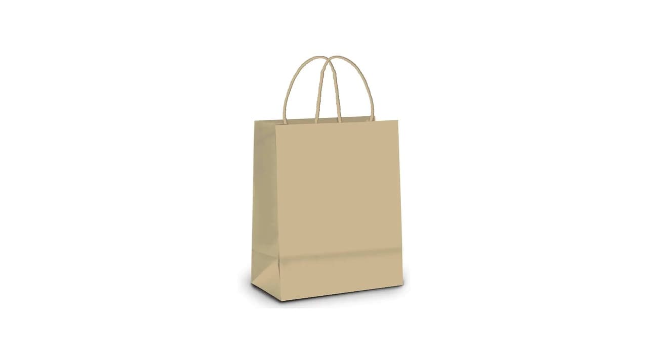 Melhor Sacola de Papel Kraft para Presente: 7 Modelos que Elevam seus Presentes