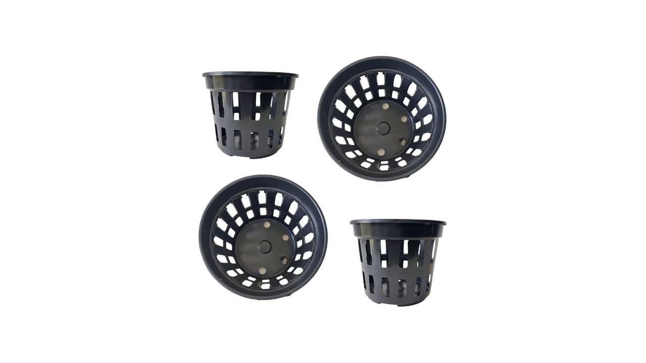 Melhor Vaso para Orquídeas: Guia Completo para Cultivo Saudável